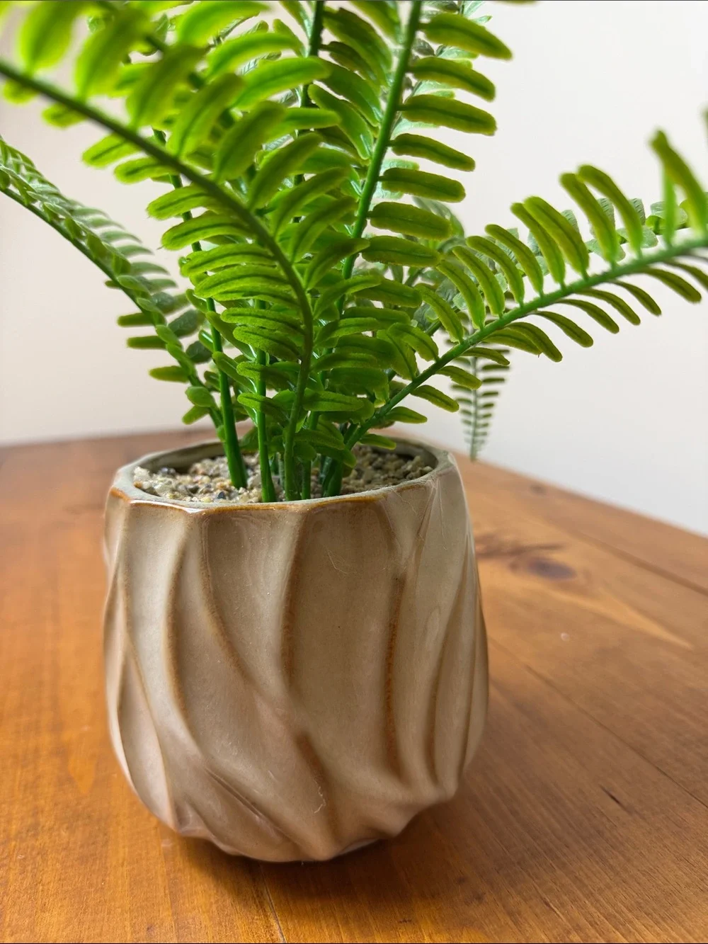 Faux Fern | Cream Tan Textured Ceramic Pot | Minimalist | Houseplant | Green